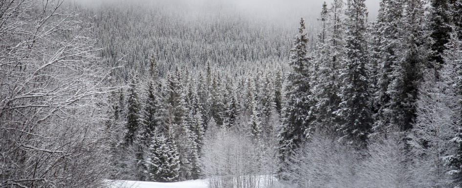 snow-mountain-road