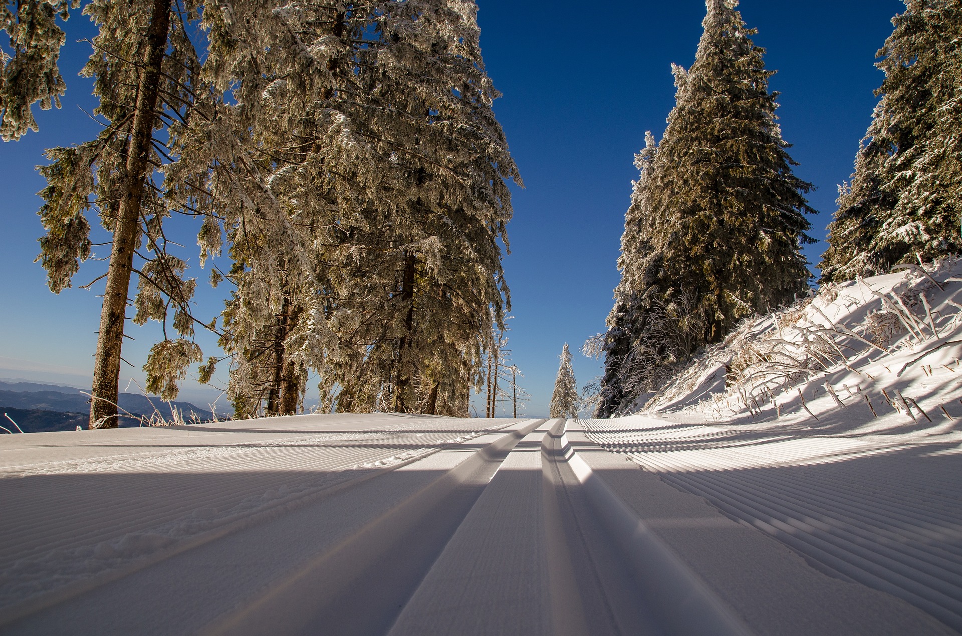 In addition to plenty of downhill trails, Sunrise also has plenty of places to go cross country skiing.
