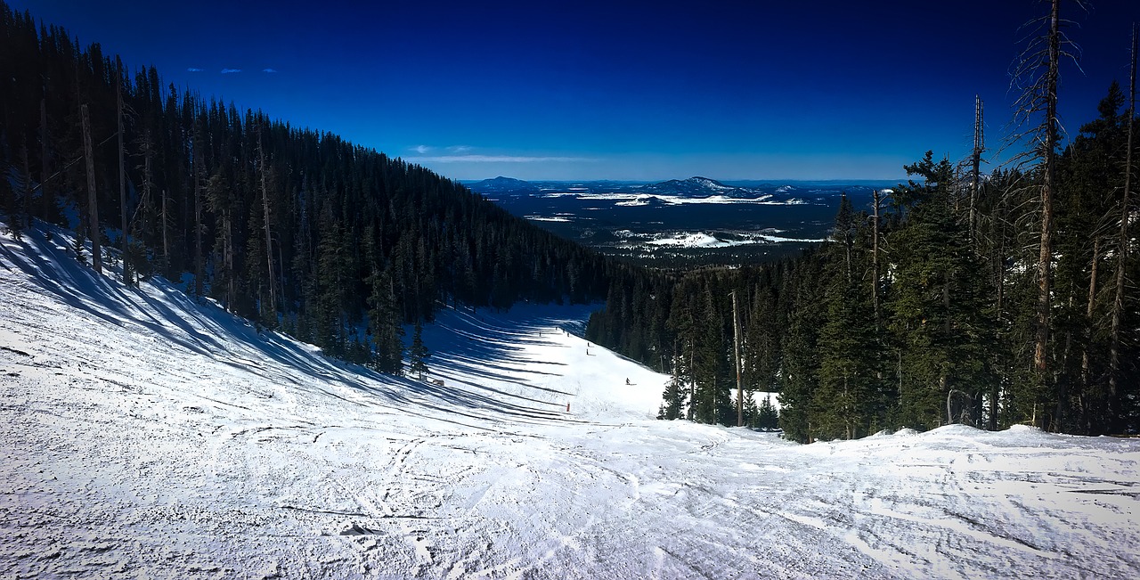 Whether you're a beginner or expert skier, there's something for everyone at Arizona's Sunrise Ski Park.